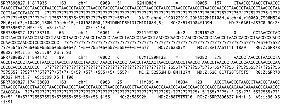 result image