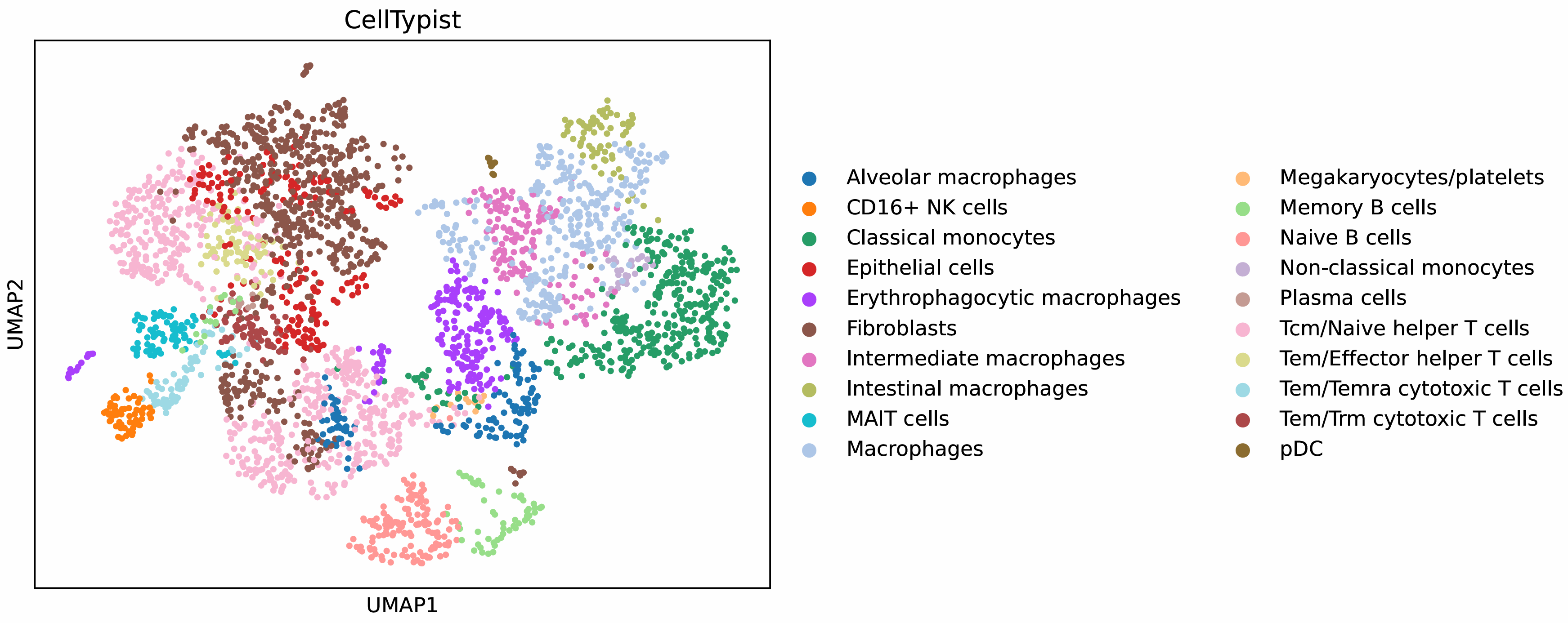 result image